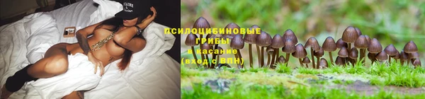 MDMA Вяземский