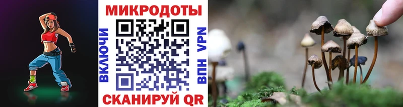 Псилоцибиновые грибы MAGIC MUSHROOMS  Купить закладки  Ноябрьск 